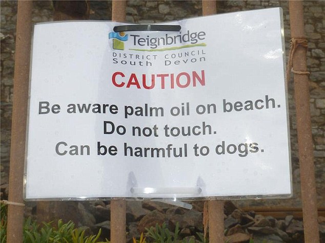 imagepalm-oil-beach-a-15_1459853144948