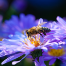 Study Proves Bee Decline Linked to Top Insecticides Study Proves Bee Decline Linked to Top Insecticides