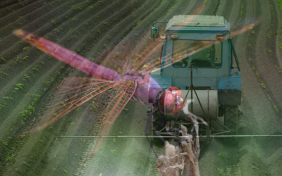insecticide aquatic insects