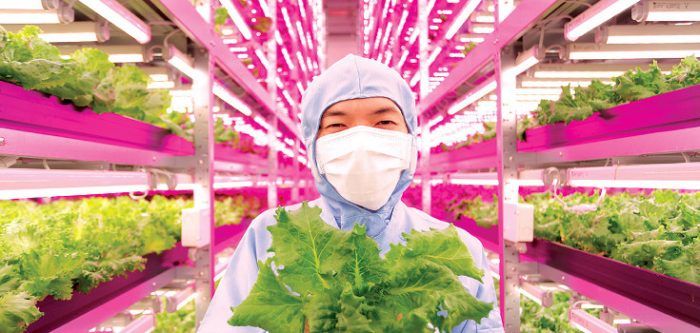 vertical farm