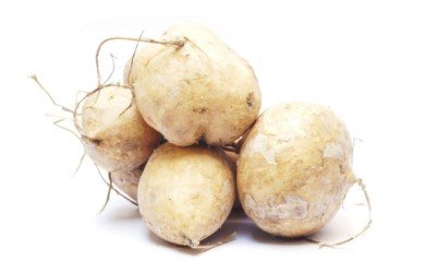 jicama