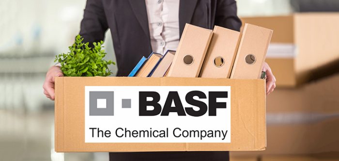basf job loss