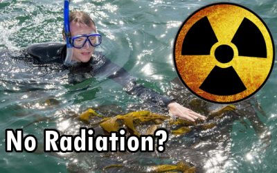 Fukushima radiation kelp