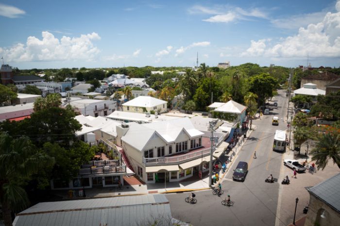 GMO Mosquito Trial Approved In The Florida Keys