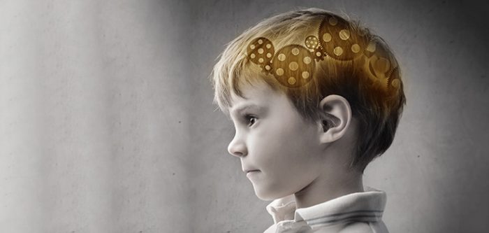 autism brain