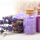 Herbal Sleep Remedies to Help Treat Insomnia, Sleep Apnea Herbal Sleep Remedies to Help Treat Insomnia, Sleep Apnea