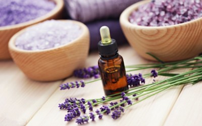 lavender oil
