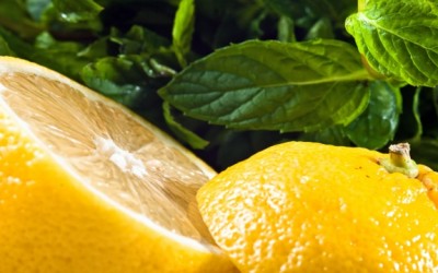 lemon