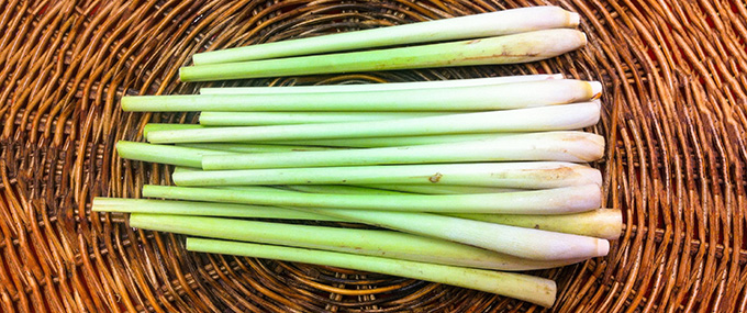 lemongrass-basket-680