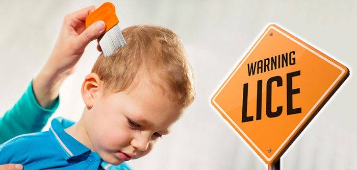 head lice resistant