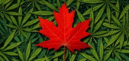 Recreational Marijuana will be Legal in Canada by July, 2018