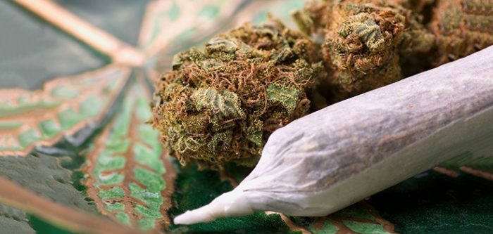 marijuana