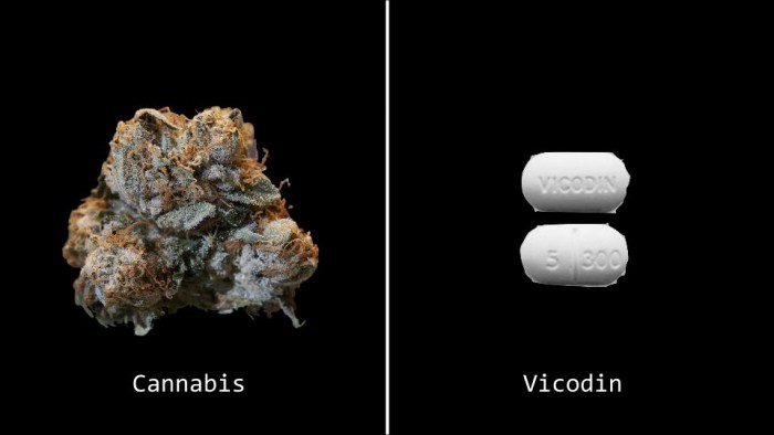 marijuana-drugs-vicodin1
