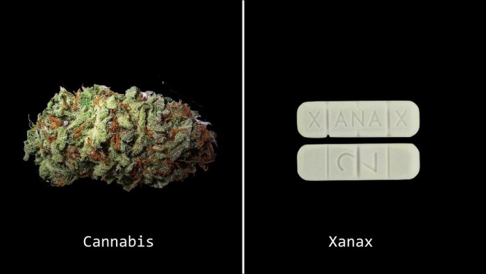 marijuana-drugs-xanas-2