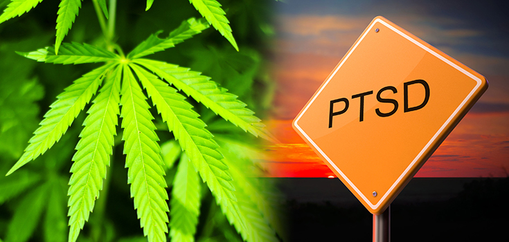 marijuana and PTSD