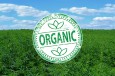 USDA Gives Colorado Cannabis Farm First Approval to Use Organic Seal