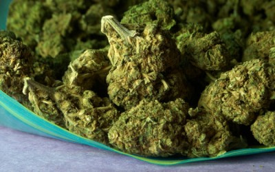 marijuana