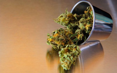 marijuana