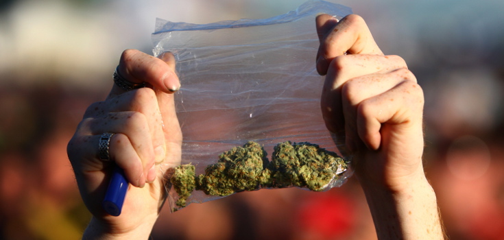 marijuana_hemp_baggy_735_350