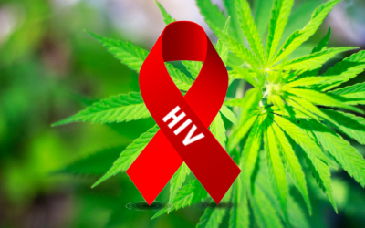 marijuana hiv