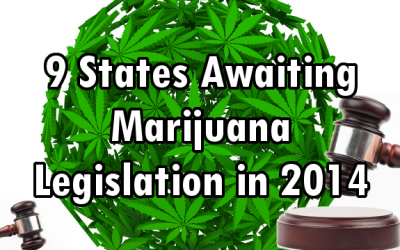 marijuana