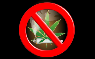 no marijuana