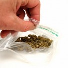Feds Target Largest Medical Marijuana Dispensary Operation in CA Feds Target Largest Medical Marijuana Dispensary Operation in CA