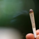 You can be Fired for Using Medical Marijuana, Justices Rule You can be Fired for Using Medical Marijuana, Justices Rule