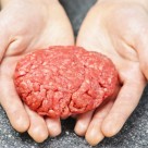 Low Carbohydrate Diet May Reverse Kidney Failure in People with Diabetes Low Carbohydrate Diet May Reverse Kidney Failure in People with Diabetes