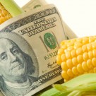Global Treaty Signed to Stop Deadly Mercury While FDA Allows it Unchecked In Your Food Global Treaty Signed to Stop Deadly Mercury While FDA Allows it Unchecked In Your Food