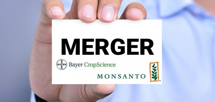 monsanto bayer merger