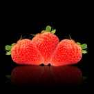 Conventional Food May Soon be Sterilized with ‘Microwave Zap’ Conventional Food May Soon be Sterilized with ‘Microwave Zap’