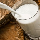 Why You Should Avoid Low-Fat Cheese and Milk Why You Should Avoid Low-Fat Cheese and Milk