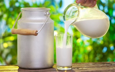 raw milk