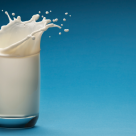 Mad Cow Disease May Infect Through Milk Despite USDA Claims Mad Cow Disease May Infect Through Milk Despite USDA Claims