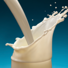 No Justice Allowed? Raw Milk Provider Held on $1 Million Bail No Justice Allowed? Raw Milk Provider Held on $1 Million Bail