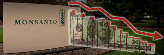 Monsanto profits fall