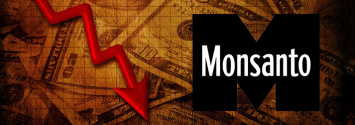 Flashback: Monsanto Profits Fell 15% on Weak Sales of GM Seed