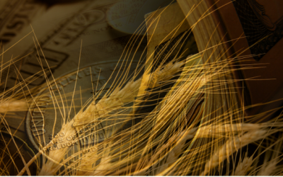 monsanto-taxpayer-cables