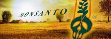 monsanto_gmo_735_250