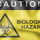 Russia Bans Use and Import of Monsanto’s GMO Corn Following Study Russia Bans Use and Import of Monsanto’s GMO Corn Following Study