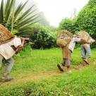 Busted: Monsanto Abusing Illegal Workers in ‘Slave-Like’ Conditions Busted: Monsanto Abusing Illegal Workers in ‘Slave-Like’ Conditions