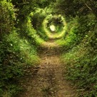 Unplug to Recharge: Technology-Free Nature Boosts Creativity by 50% Unplug to Recharge: Technology-Free Nature Boosts Creativity by 50%