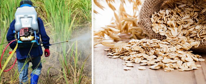 oats and pesticides