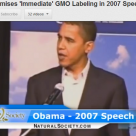 Will Obama Fulfill His 2007 Promise to Label GMOs? (Video) Will Obama Fulfill His 2007 Promise to Label GMOs? (Video)