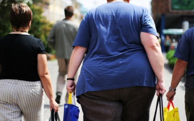 obesity southern