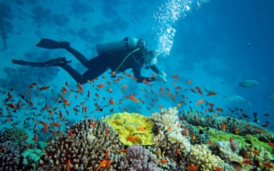 ocean water