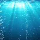 What is Astaxanthin? A Powerful Antioxidant Able to Slow the Aging Process What is Astaxanthin? A Powerful Antioxidant Able to Slow the Aging Process