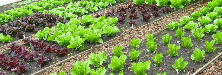 off-the-grid-sustainable