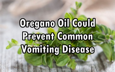 oregano
